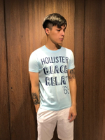 美國百分百【全新真品】 Hollister Co. T恤 HCO 短袖 T-shirt 海鷗 logo 天藍色 Ah60