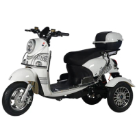 New Style Tricycles 1000W 3 Wheel Electric Motorcycle Electric Scooter For Adults