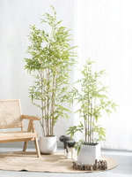仿真竹子裝飾假竹子仿生綠植造景客廳竹子擺件室內盆栽仿真植物