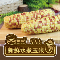 【跨店任選】炳叔_水煮玉米(200g/支)