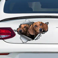 Tan dachshund car decal ,Tan dachshund magnet, dachshund sticker, funny car decal