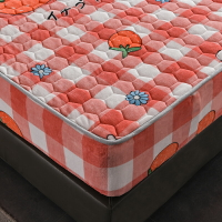 冬季法蘭牛奶絨床笠單件珊瑚絨卡通床罩加厚固定防滑床墊套