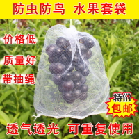 葡萄套袋水果套袋防蟲防鳥網袋瓜果蔬菜防蟲袋塑料白色網袋浸種袋