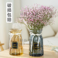 3個裝 歐式玻璃花瓶透明彩色水培植物花瓶客廳裝飾擺件插花瓶【時尚大衣櫥】