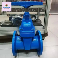 Gate Valve Cast iron 6" inchi PN16 DN150 / Gate valve Resilient PN16 6" inchi DN150