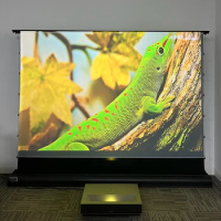 92‘’100‘’110‘’120‘’133‘’150'' 16:9 Motorized Floor Rising Projector Screen T prism ALR Ultra Short Throw Projection Screen