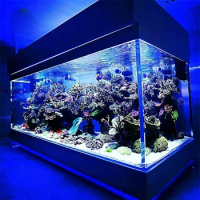 Huge Glass Tank Jellyfish Aquarium High Quality Acrylic Glass Tank Customized Plexiglass Tank