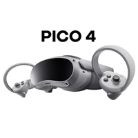 Pico 4 256GB