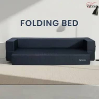 Folding Sofa bed By Vassa sofa / Sofabed Minimalist