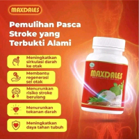 MAXDALES Obat Herbal Stroke Ringan Berat Kolesterol Darah Tinggi Paling Ampuh 100% Original  koleste
