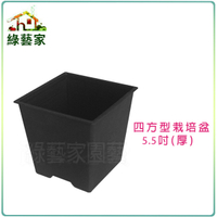 【綠藝家】四方型栽培盆5.5吋-黑色(厚)