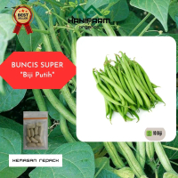 Benih Buncis Super