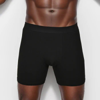 Mid-Long 2024 Men Panties Cotton Underwear Male Brand Boxer And Underpants For Homme Luxury Set Sexy Shorts Box Slip Kit