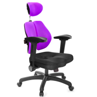 【GXG】高背美臀 4D弧面摺疊扶手 雙背椅(TW-2504 EA1D)