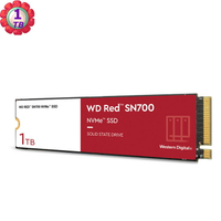 WD RED 1TB SN700 M.2 2280 NAS Nvme PCIE SSD WDS100T1R0C 固態硬碟 公司貨｜滿額領券最高現折$220