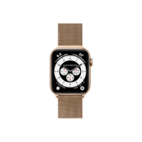 【LAUT 萊德】Apple Watch 42/44/45/49mm 米蘭不銹鋼磁吸錶帶-金