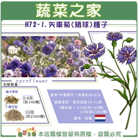 【蔬菜之家】H72-1.矢車菊(矮球)種子 (共有2種包裝可選)