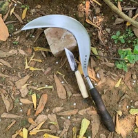 Sabit Rumput Asli Baja Per Cap Bintang 5 Khas Madura