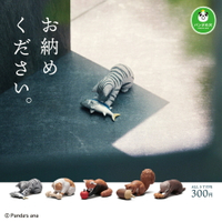 全套5款【日本正版】請收下的動物們 扭蛋 轉蛋 貓咪 松鼠 狸貓 動物模型 熊貓之穴 - 076343
