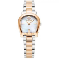 AIGNER ALESSANDRIA AGW.250005 Women's Watches