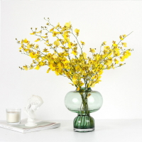 歐式葫蘆款玻璃花瓶 郁金香跳舞蘭鮮花花束插花花瓶 客廳裝飾擺件