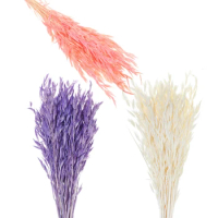 25/50Pcs Natural Dried Wheat Ear Real Wheat Ear Flower Decoration Natural Pampas Rabbit Tail Grass Dried Flowers Home Decor