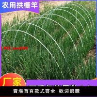 {台灣公司 可開發票}小拱棚支架豆角架桿黃瓜架子搭架桿農用蔬菜支架桿小拱棚支架拱桿
