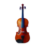 BIOLA EASTMAN VL 100 AKUSTIK ADVANCE