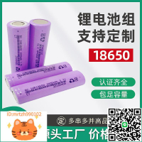 18650鋰電池可充電電池用于暴力風扇移動電源水平儀 電動車鋰電池-淘淘屋 可開發票