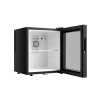 Hot sale 30L 40L 2 layers custom glass door 12V hotel mini fridge refrigerator for car