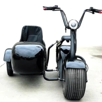 2000W Motor fat tire 3 wheel electric scooter electric tricycle
