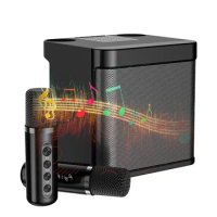 Karaoke Machine With 2 Microphones Portable Karaoke System Speaker Outdoor Karaoke Machine For Adults Multiple Sound Field