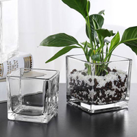 簡約加厚正方形缸大號花瓶玻璃透明桌面擺件水培容器水養植物花盆