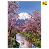 【雷諾瓦】櫻花與富士山/日本/方形盒/500片拼圖/Clementoni