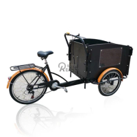 Hot Sale Cargo Bike 3 Wheel Bicycle Cheap Electric Adult Tricycle with Aluminium frame