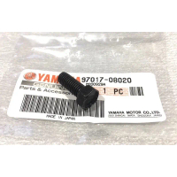 Yamaha SS SS2 F1ZR 125zr 125z Skru Paddle Gear 100% Original Yamaha Japan (1pcs)