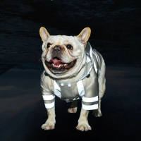 Baju hujan haiwan peliharaan, baju hujan anjing reflektif berkilat tinggi, baju hujan anjing bulldog