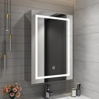 Smart Bathroom Mirror Cabinet Led Stainless Steel Mirror Jewelry Cabinet Lighting Toilet Mirror Cabinets