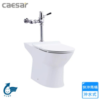 【CAESAR 凱撒衛浴】快沖馬桶/P排18.5cm(CJP1550A 不含安裝)
