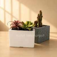 Pot Sukulen Terakota Planter Box Mini Kotak L10P20 Putih