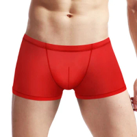 Mens Sexy Silk Lingerie See Through Low Rise Mesh Boxer Brief Pouch Trunks Underpants Shorts Breathable Men's Boxer Shorts