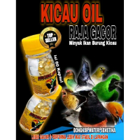 60 Kapsul KICAU OIL RAJA GACOR MINYAK IKAN PENGGACOR BURUNG KICAU Muray batu/kacer/cucak ijoVITAMIN 