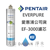 EF-3000 愛惠浦濾芯 贈7-11禮卷$300 EVERPURE 台灣愛惠浦 公司貨 濕式碳纖活性碳 EF3000 濾心