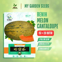 BENIH MELON CANTALOUPE / CANTALAUPE KEMASAN IMPORT ± 20 BUTIR