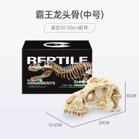 cleen恐龍頭骨爬寵躲避屋守宮蛇躲避洞蜥蜴曬背曬臺飼養箱造景
