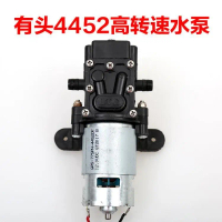 Electric Sprayer Water Pump Motor, 12V, Mini Motor, Mini Dinosaur Diaphragm Pump, High Pressure Car 
