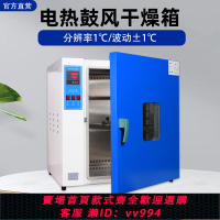 乾宛電熱恒溫鼓風干燥箱工業大燈高溫烘箱烤箱實驗室高溫烘干機箱
