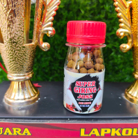 SUPER GIRING 100 BUTIR JAMU MERPATI MERPATI KOLONG MERPATI BALAP MERPATI TINGGI TOMPRANG MERPATI PO