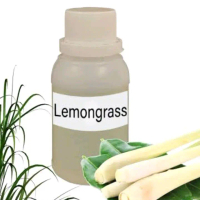 Bibit Parfum Murni Sereh Lemongrass 100Ml