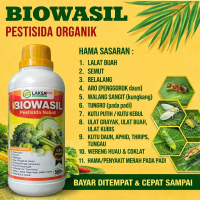 PROMO BIOWASIL 500 ML Insektisida Organik Cair – Obat Hama Wereng, Kutu Putih, Ulat, Belalang untuk 